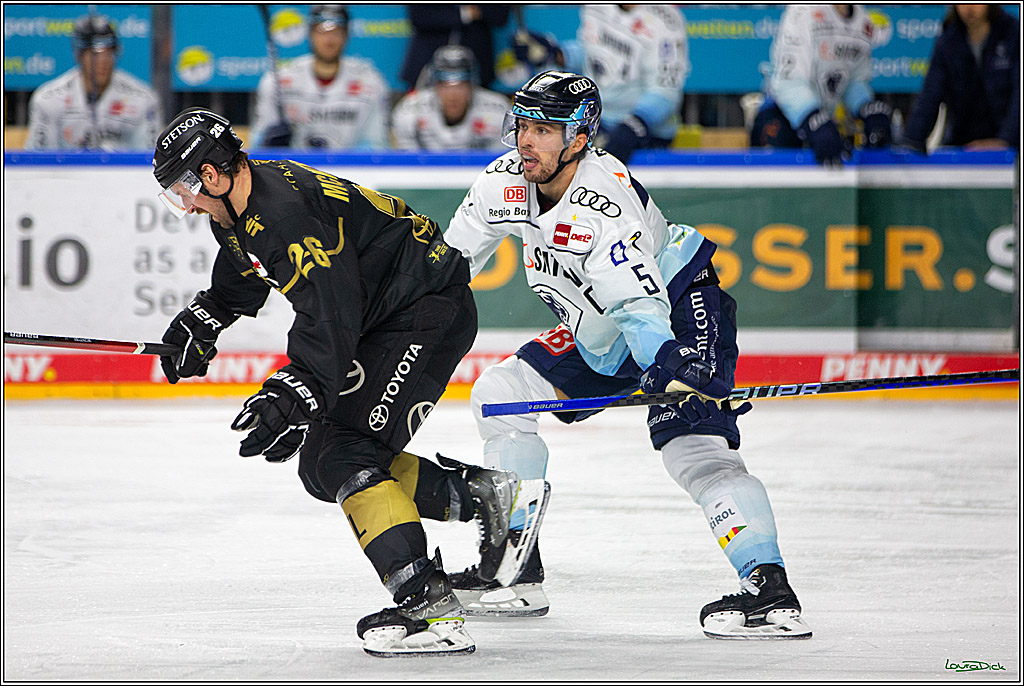 PENNY DEL;  Kölner Haie - ERC Ingolstadt; Köln, 25.11.2022